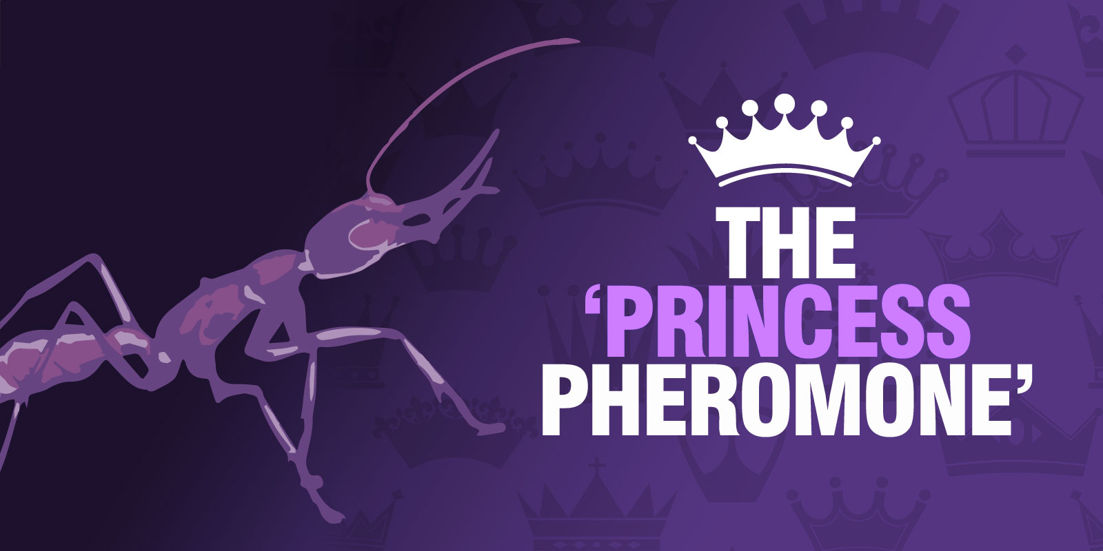 The 'Princess Pheromone' | Barrettine Pheromones For Women (Princess